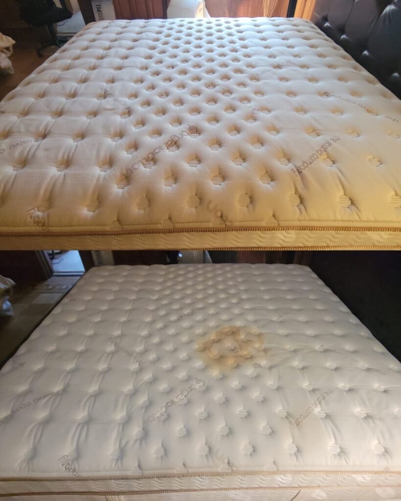 mattress cleaning miami service